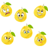 Grapefruit