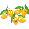 Mangoes