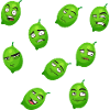 Lime