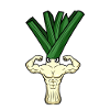 Bodybuilding Weightlifter Leek