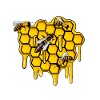 Hobbyimker Biene