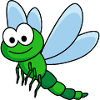 Dragon fly dragonfly
