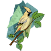 Oiseau