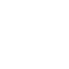 Westernreiten - Westernpferd - Reining