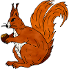 Écureuil