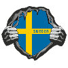 Sweden flags design