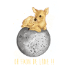 Fan de lune