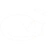 Sleeping cat