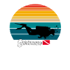 Suriname Scuba Diving Poison