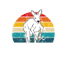 Boys Who Loves Kangaroo