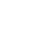 Snaccident definition