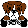 Boxer and bones