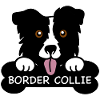 Border collie et os
