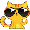 Cool Cat Solbriller Komisk Sjov Bouncer