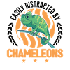 Easily distracted by Chameleons Chamäleon