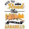 Armadillo Gift Armadillo