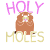 Holey Moles Animal Pun Moles