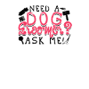 Need a dog groomer Ask me - styling