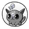 Soap Bubbles Cat