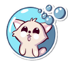 Soap Bubbles Cat