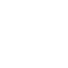 reclining sitting cat pet pet