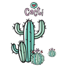 Cacti