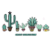 Cactus Collection.