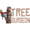 Tronçonneuse Arbre Chirurgien Bûcheron Tronçonneuse