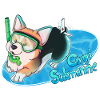 Corgi Submarine