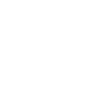 Bristol Vintage City Badge