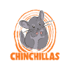 J’aime vraiment les chinchillas, ok