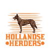 Hollandse Herder Hollandse Herderdshond