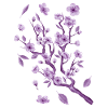 Retro Aesthetics Sakura Streetwear
