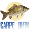 Carpe diem