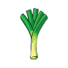 Leek
