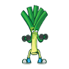 Leek