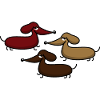 Three funny dachshunds