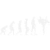 Karate Evolution
