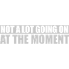 Not much going on