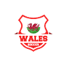 Wales-fußball-geschenk