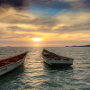 exotic sunset