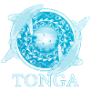 Weißspitzenriffhaie Tonga Pride