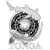 Tonga Zebrahai Weißspitzenriffhai