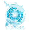 Tonga Zebrahai Weißspitzenriffhai