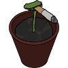 Venus Flytrap with Cigarette