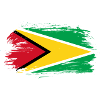 drapeau de la Guyane