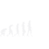 Basketball Evolution