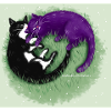 Ying Yang Cats