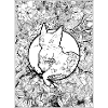 Chat nature