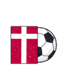 Danmarks fodboldhold flag gave